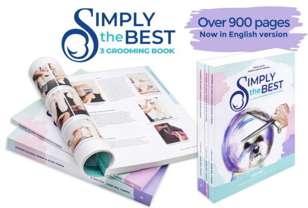Simply the Best - English Edition